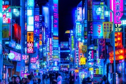 This picture features the main city part of Tokyo, Japan at night time, capturing the shopping centers